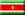 Bandeira de Suriname